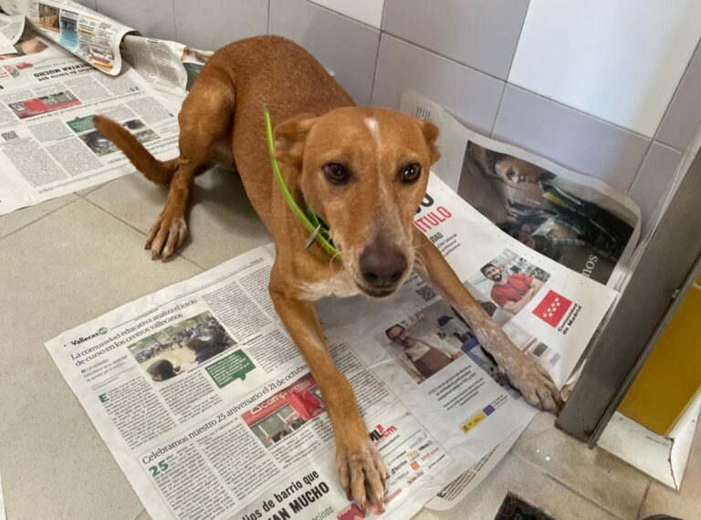 multimedia-foto80294-647-1