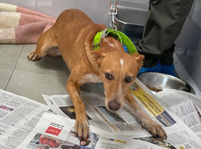 multimedia-foto80295-648-1