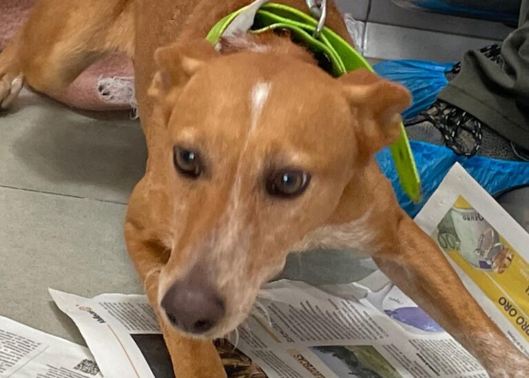 multimedia-foto80296-648-1