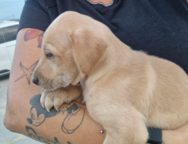 multimedia-foto80352-59-1