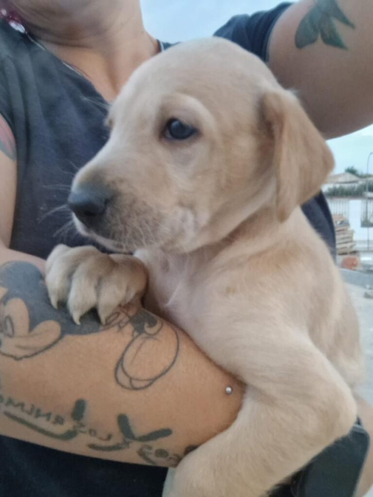 multimedia-foto80353-59-1