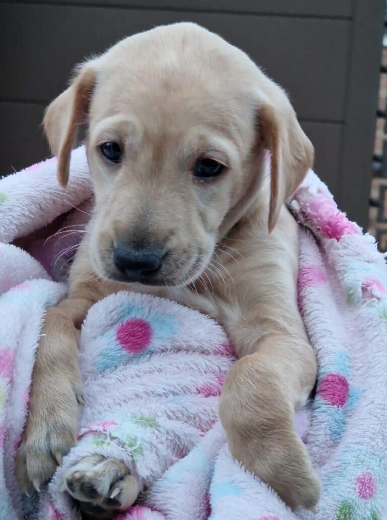 multimedia-foto80354-60-1