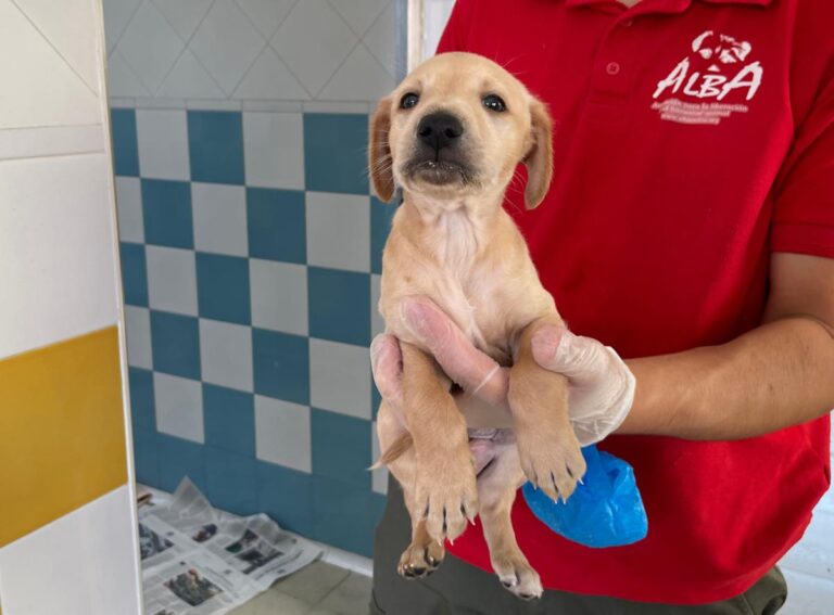 multimedia-foto80355-60-1