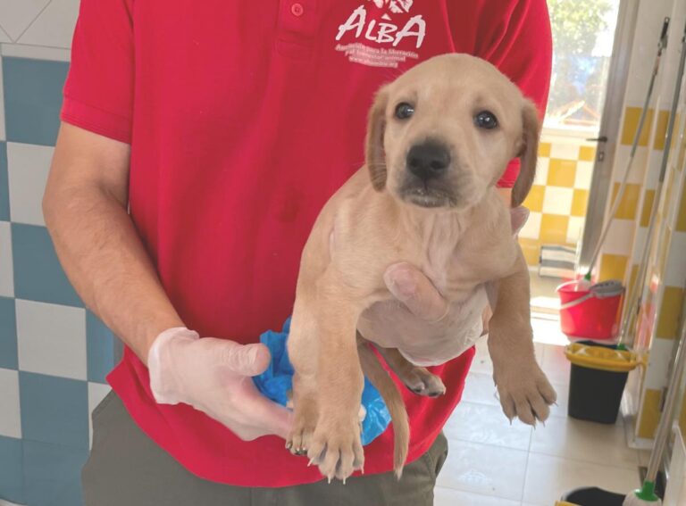 multimedia-foto80357-60-1