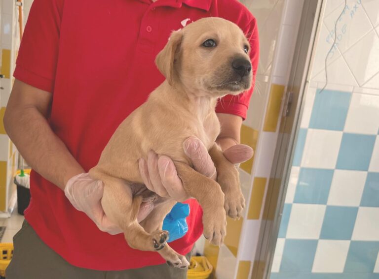 multimedia-foto80358-60-1