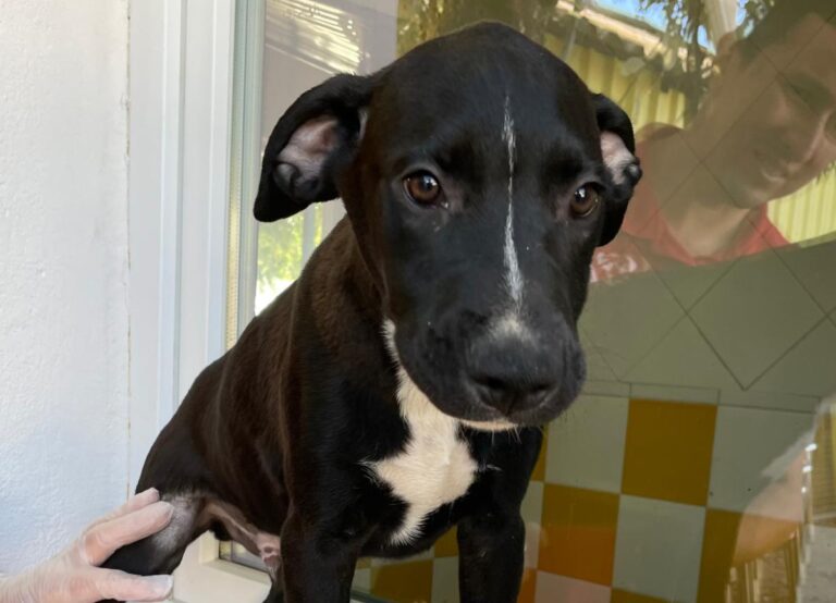 multimedia-foto80359-344-1