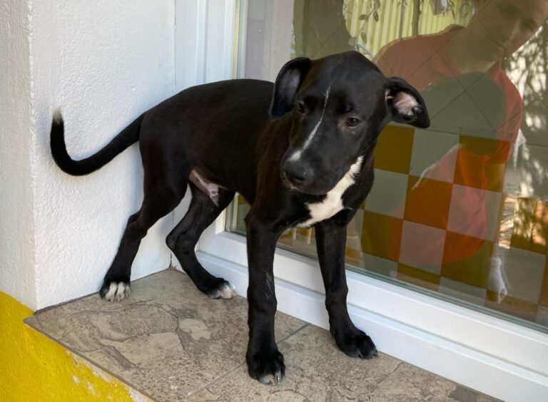 multimedia-foto80360-344-1