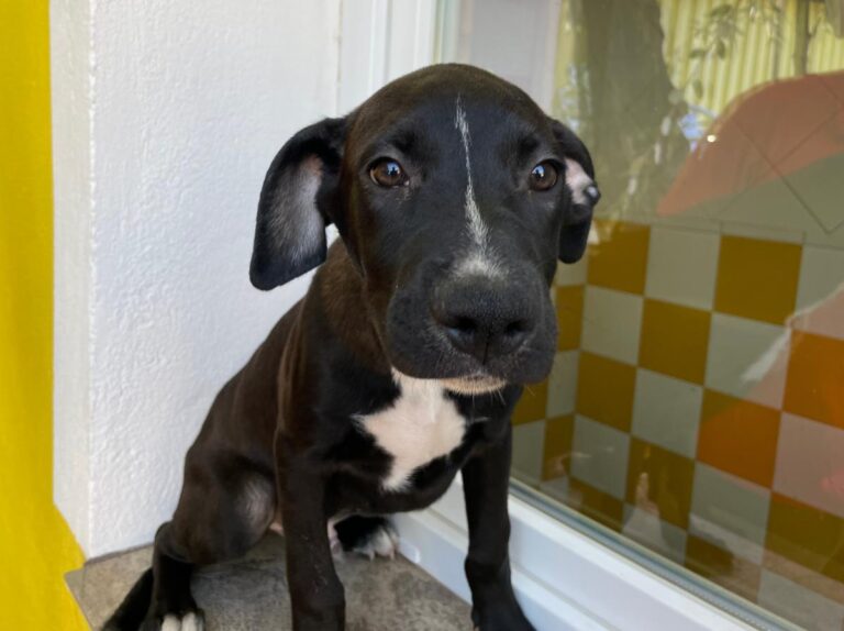 multimedia-foto80361-344-1