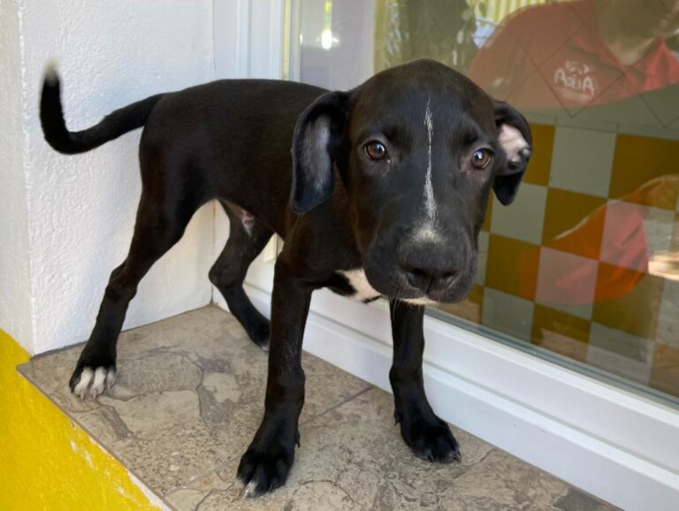 multimedia-foto80363-344-1