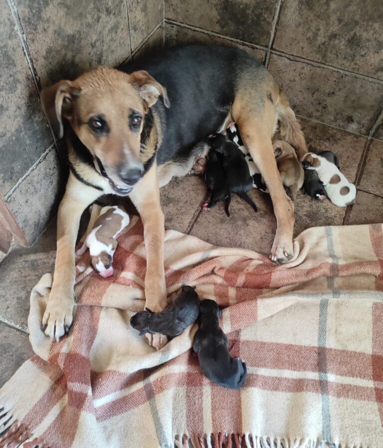 multimedia-foto80401-741-1