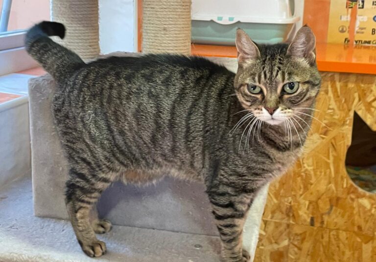 multimedia-foto80407-989-1