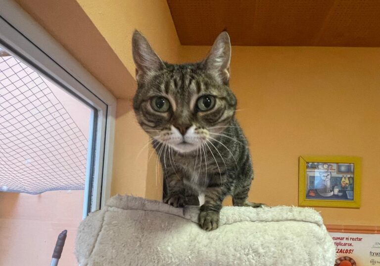 multimedia-foto80408-989-1