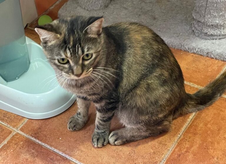 multimedia-foto80413-405-1