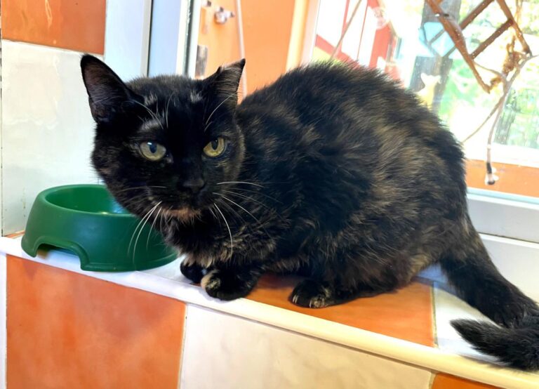 multimedia-foto80419-898-1