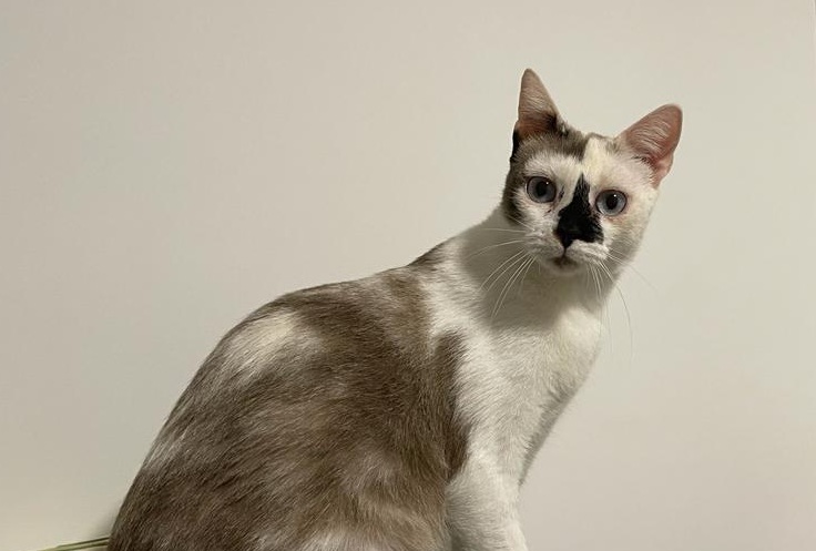 multimedia-foto80420-508-1