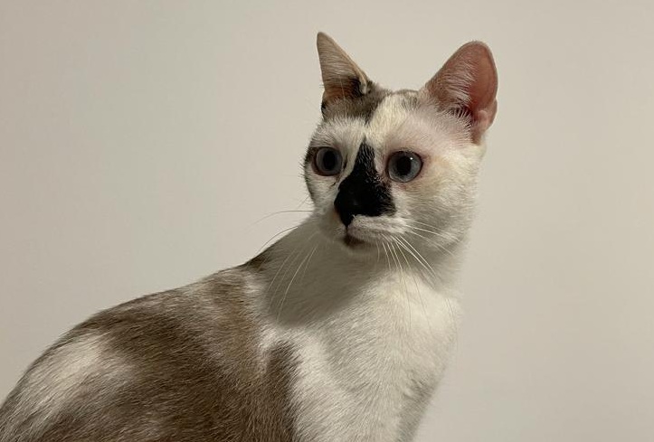 multimedia-foto80422-508-1