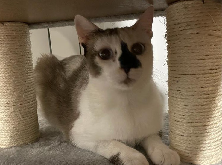 multimedia-foto80423-508-1