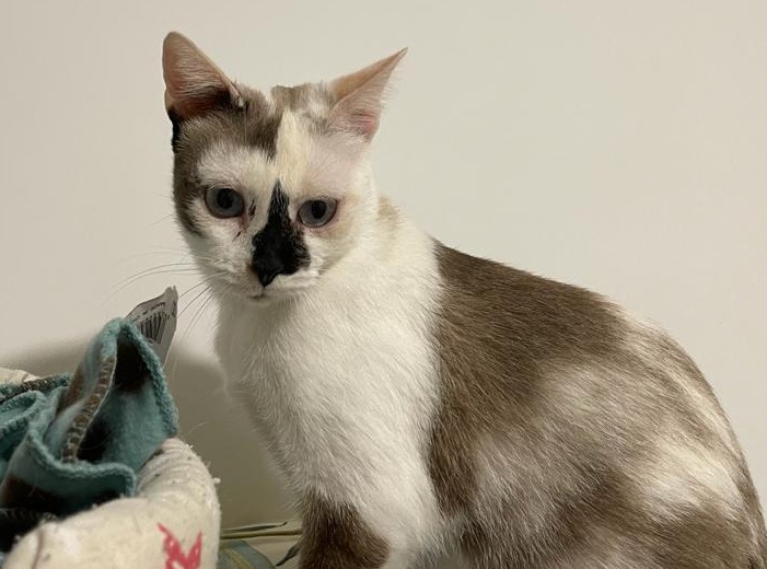 multimedia-foto80425-508-1