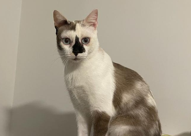 multimedia-foto80427-509-1