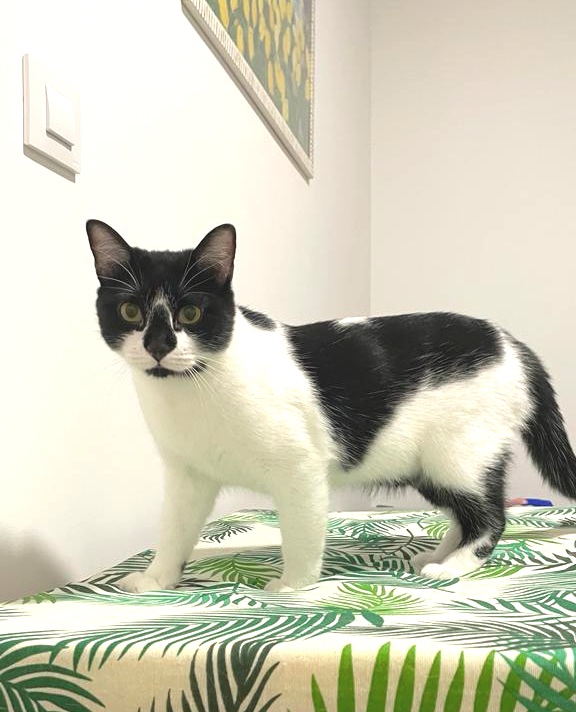 multimedia-foto80429-691-1