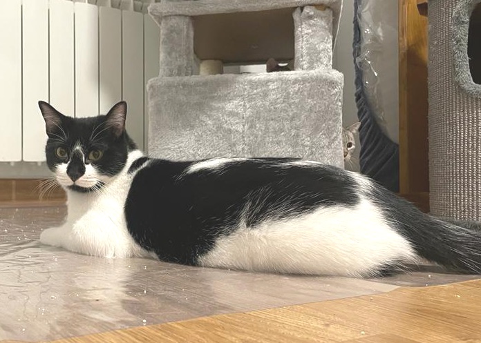 multimedia-foto80431-691-1