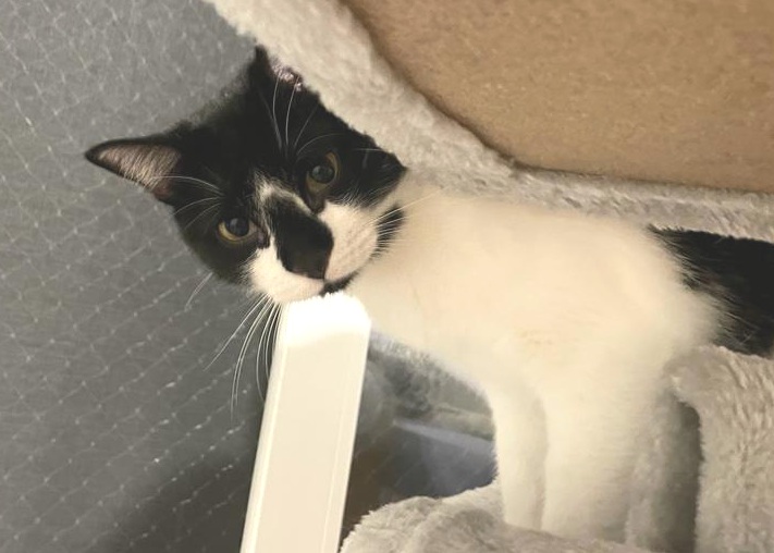 multimedia-foto80432-692-1