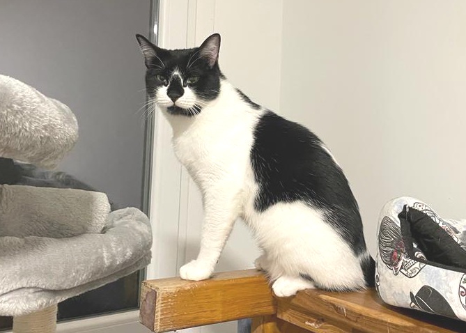 multimedia-foto80433-692-1