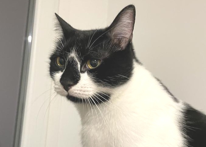 multimedia-foto80434-692-1