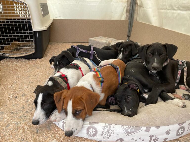 multimedia-foto80453-426-1