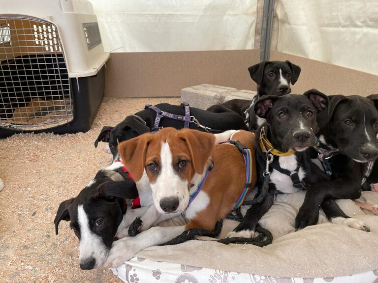 multimedia-foto80454-426-1