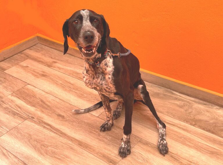 multimedia-foto80488-631-1