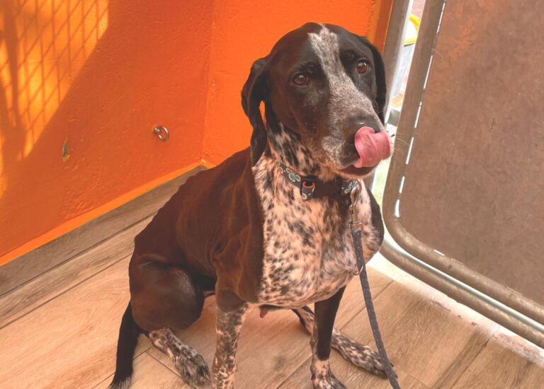 multimedia-foto80489-631-1