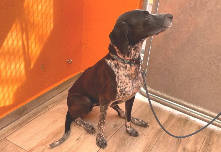 multimedia-foto80491-631-1