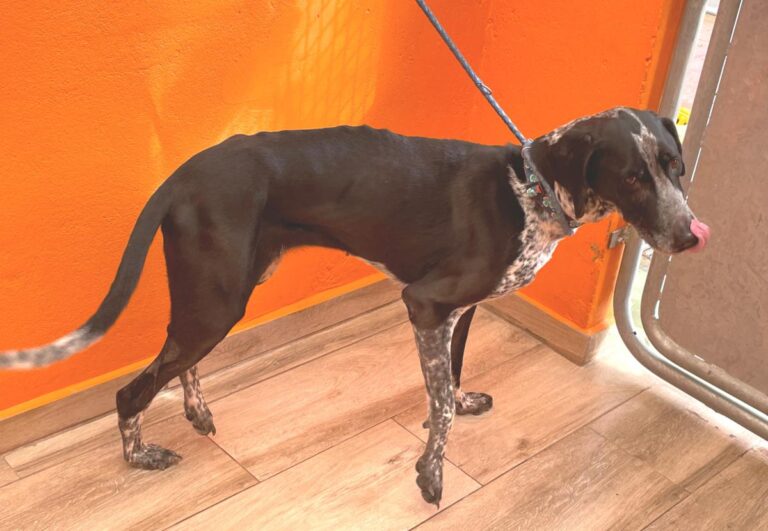 multimedia-foto80492-631-1