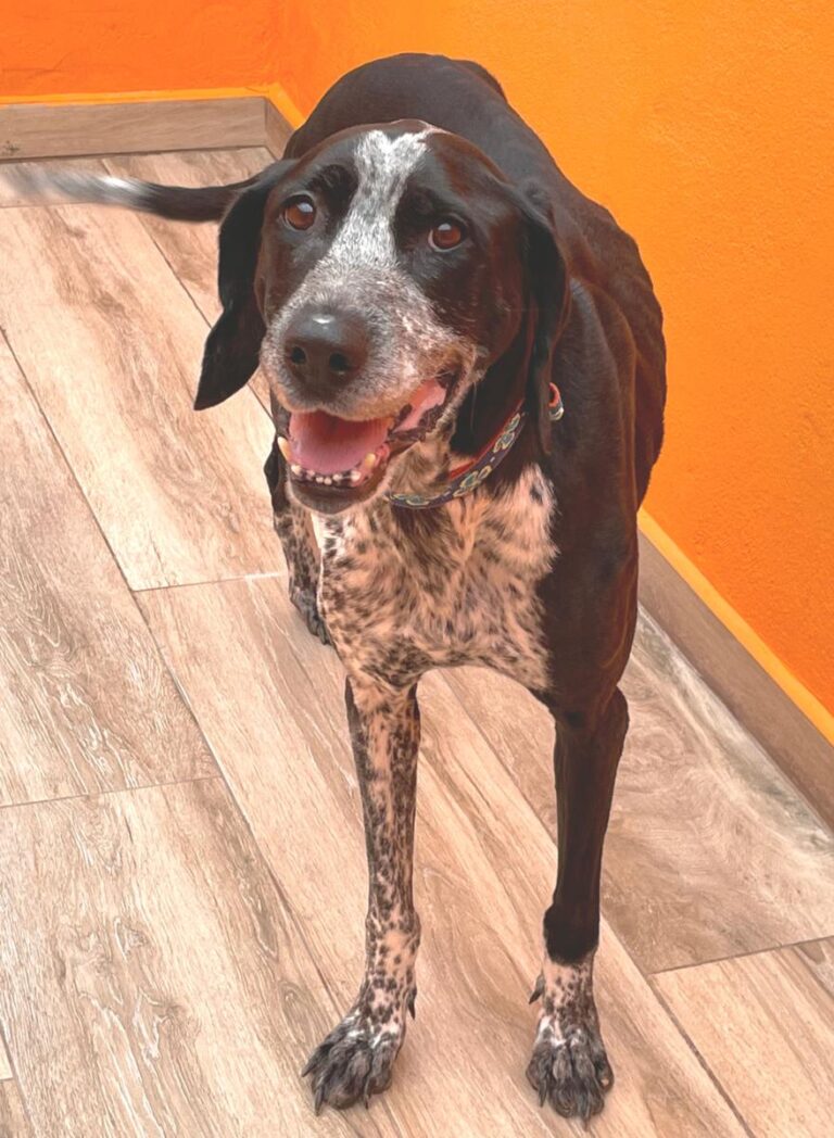 multimedia-foto80494-632-1