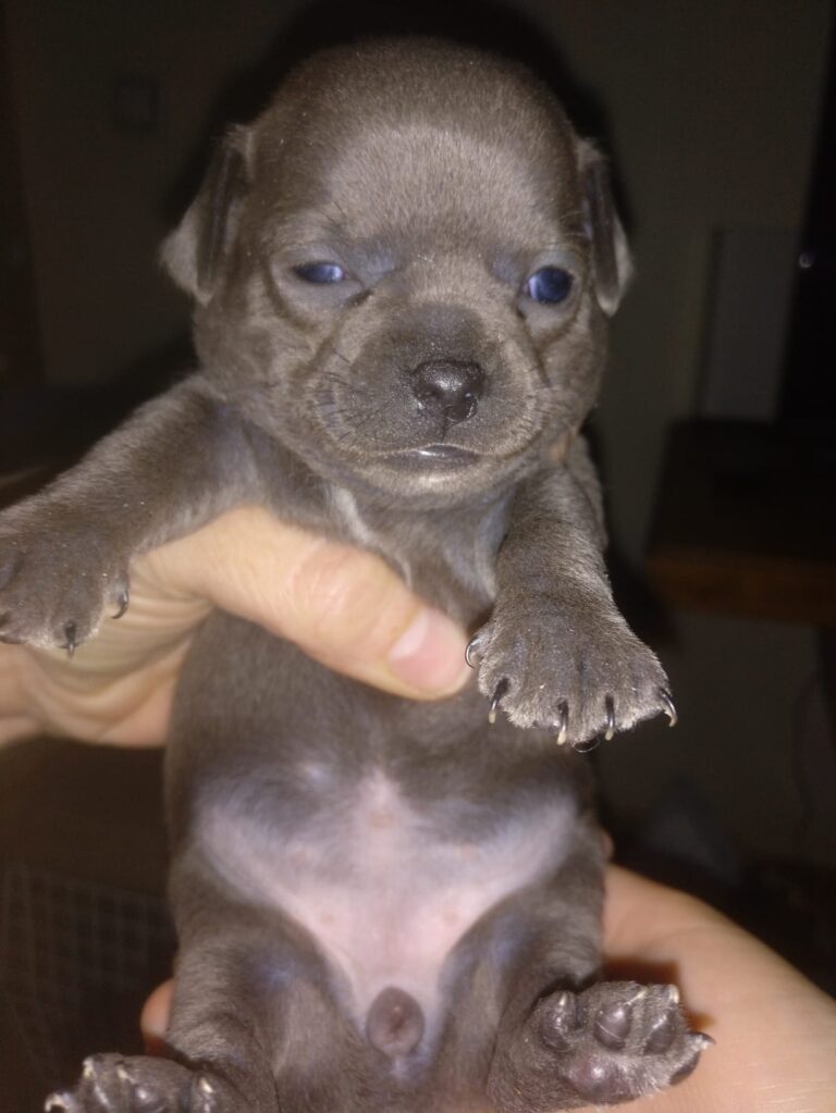 multimedia-foto80506-998-1