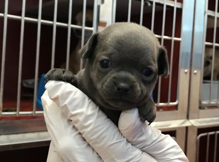 multimedia-foto80507-999-1