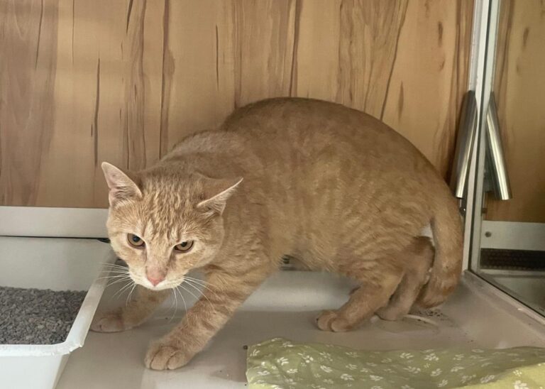 multimedia-foto80524-273-1