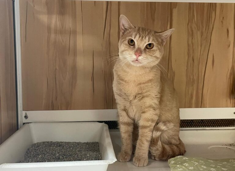 multimedia-foto80526-274-1