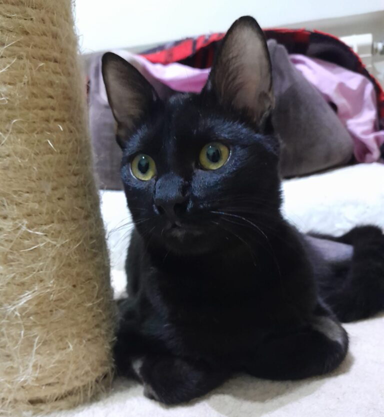 multimedia-foto80547-810-1