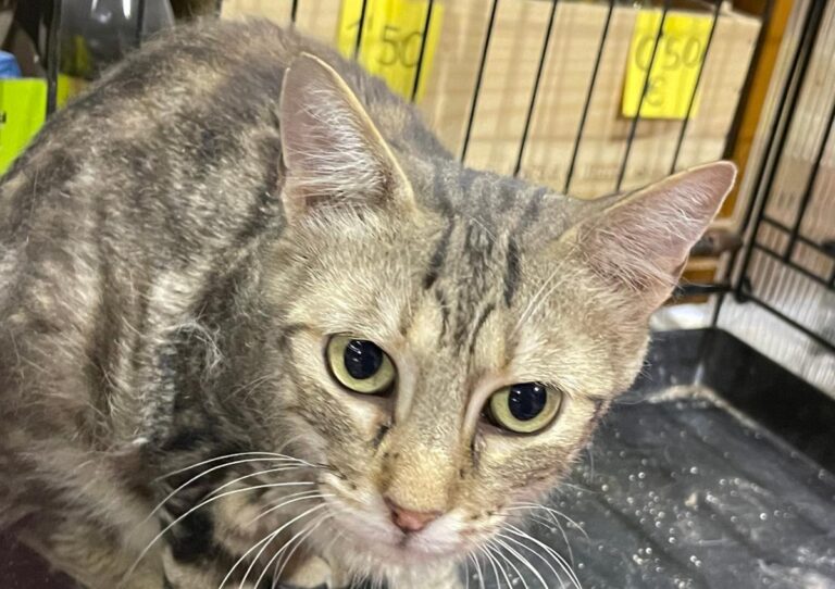 multimedia-foto80557-889-1