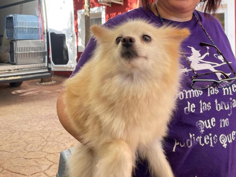 multimedia-foto80673-872-1