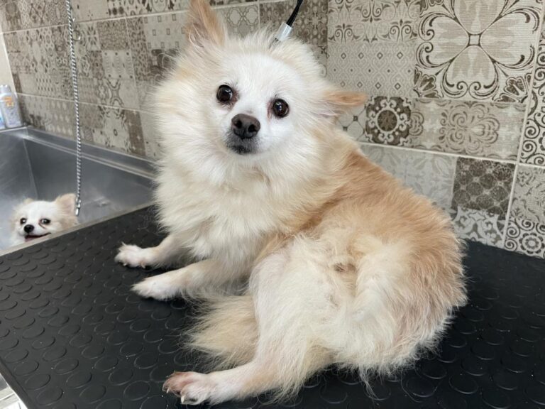 multimedia-foto80674-872-1