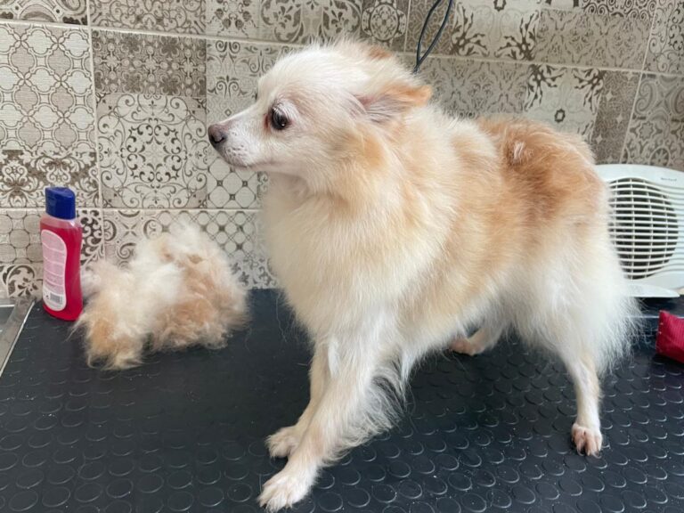 multimedia-foto80675-872-1