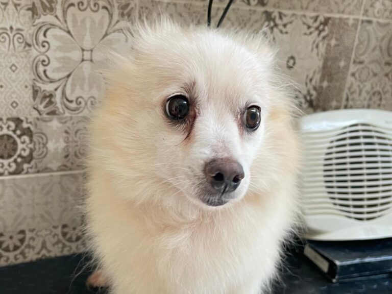 multimedia-foto80676-872-1