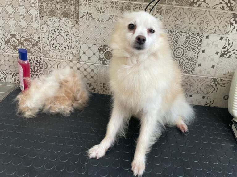 multimedia-foto80677-872-1