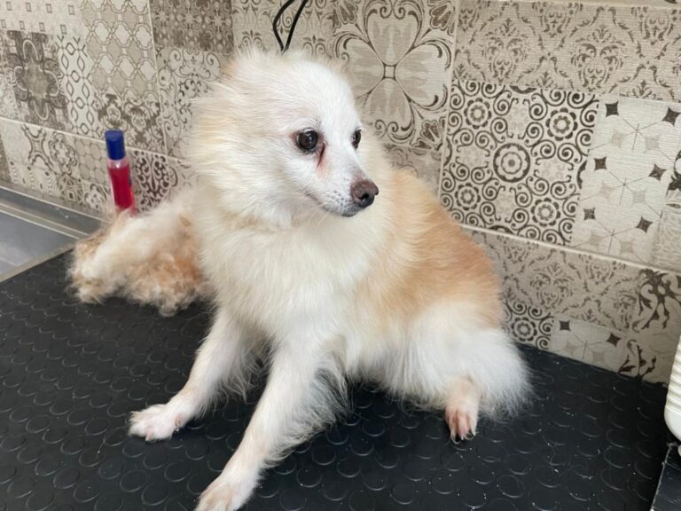 multimedia-foto80678-873-1