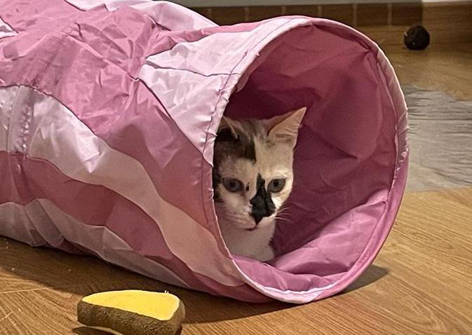 multimedia-foto80680-500-1