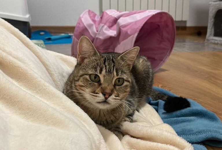 multimedia-foto80682-51-1