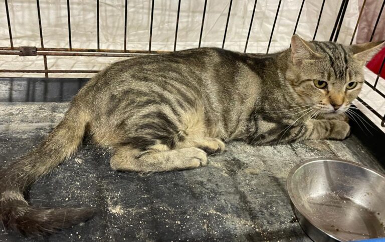 multimedia-foto80685-159-1